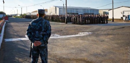 На журналистов телеканала REN-TV напали в Московском зоопарке На журналистов телеканала REN-TV напали в Московском зоопарке