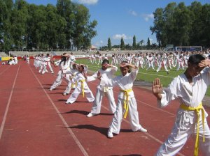Преступнику не удалось ограбить учеников школы каратэ Преступнику не удалось ограбить учеников школы каратэ