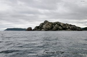 Остров Недоразумения Остров Недоразумения