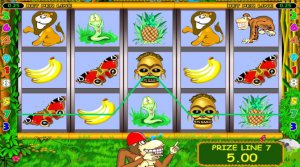  Crazy monkey