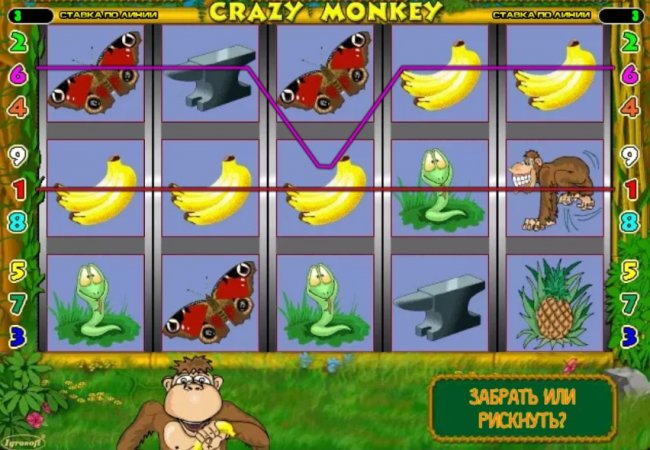   Crazy Monkey